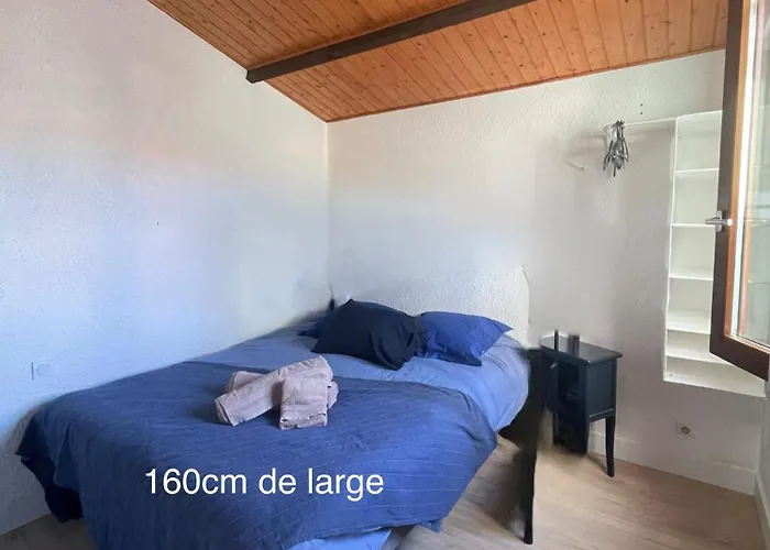 T3 Climatise A 50m De La En Acces Direct Leucate