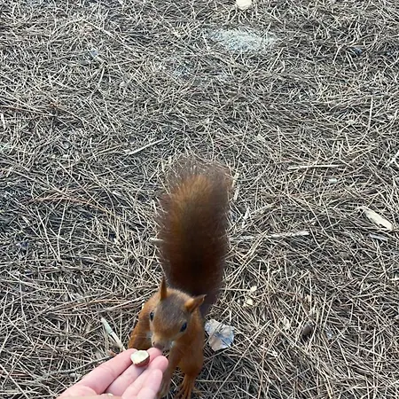 T3 Climatise A 50m De La En Acces Direct Lägenhet