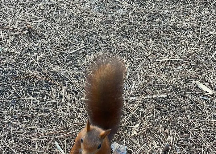 T3 Climatise A 50m De La En Acces Direct 아파트